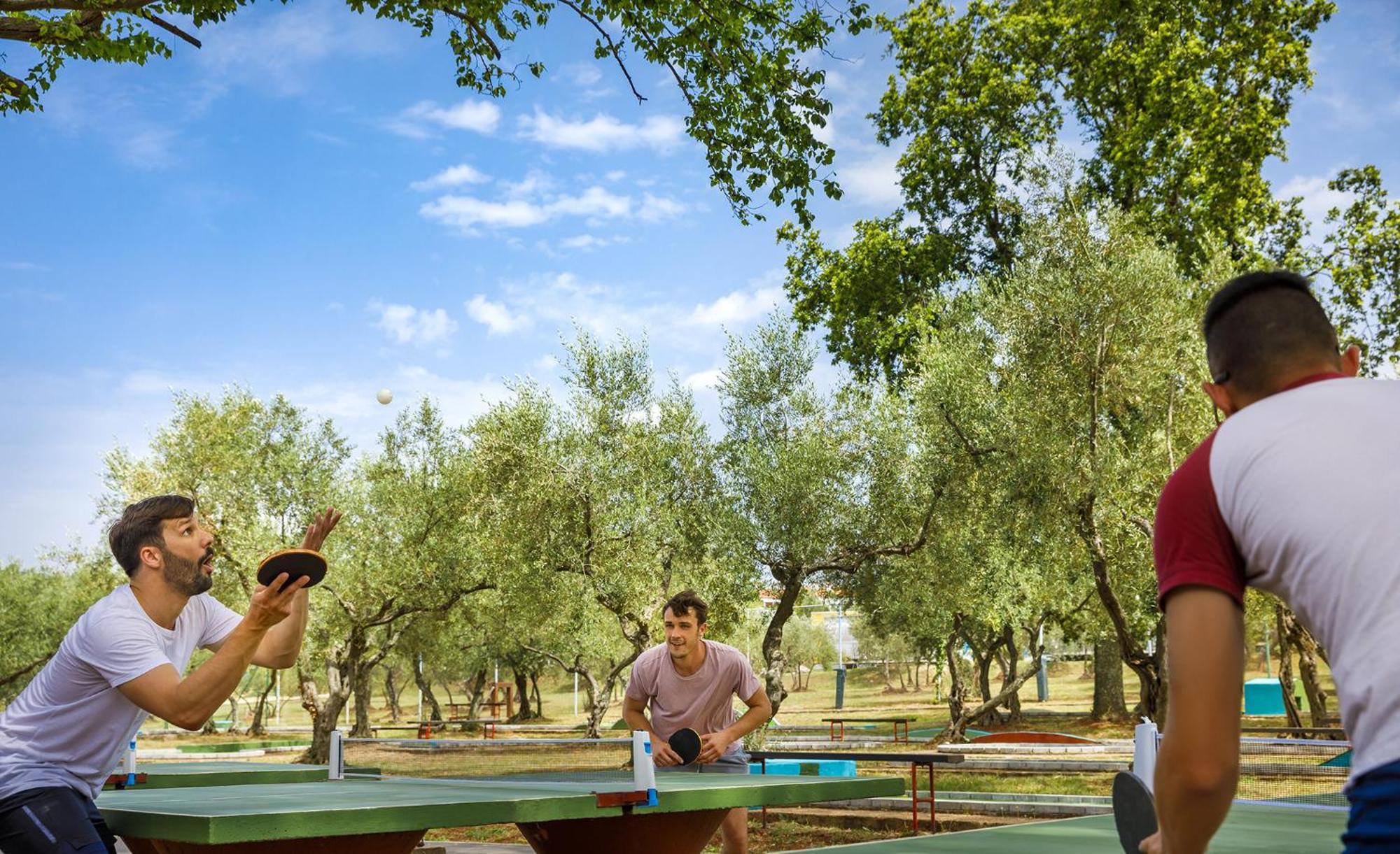Aminess Planet Camping Maravea Resort - Pitches Novigrad (Istria) Exterior foto
