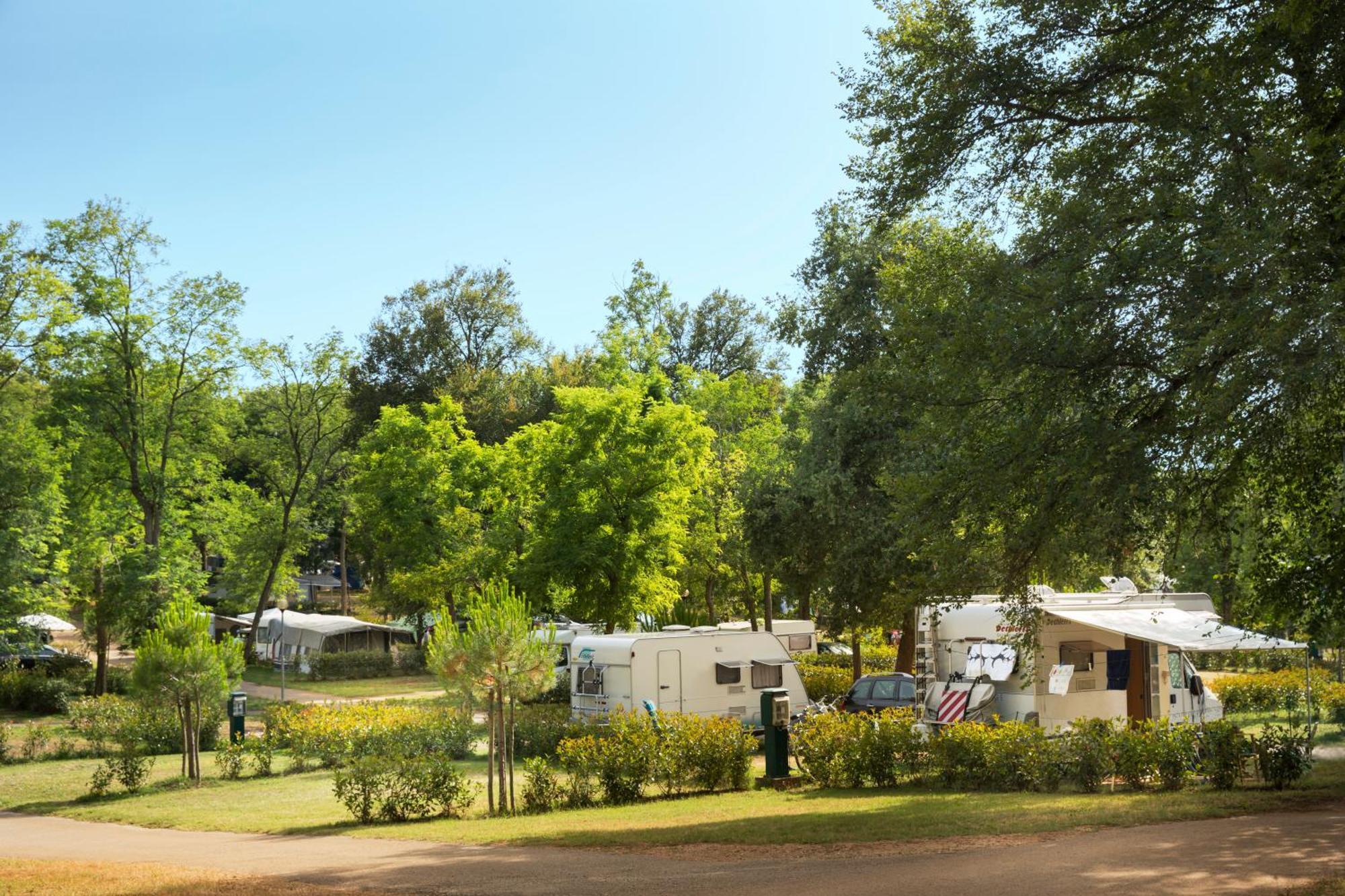 Aminess Planet Camping Maravea Resort - Pitches Novigrad (Istria) Exterior foto